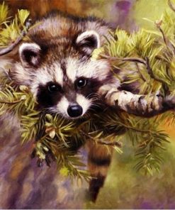 Raccoon Animal Kits Paint By Numbers