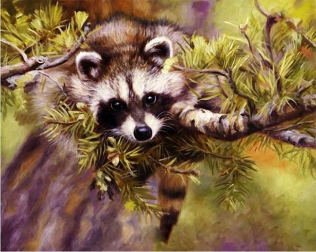 Raccoon Animal Kits Paint By Numbers