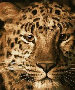 Majestic Leopard Paint By Numbers