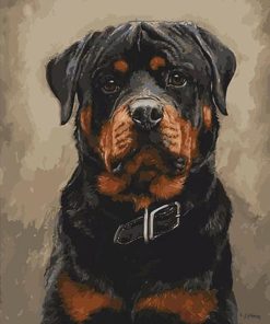 Black Dog Paint By Numbers