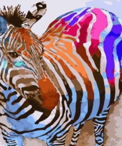Colorful Zebra Animal Paint By Numbers