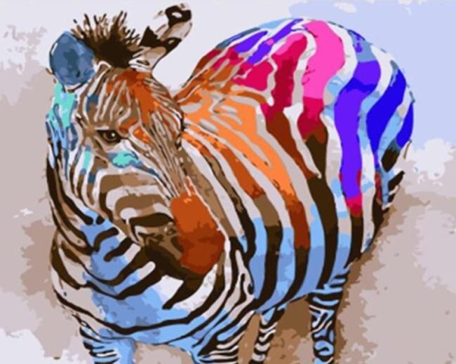 Colorful Zebra Animal Paint By Numbers