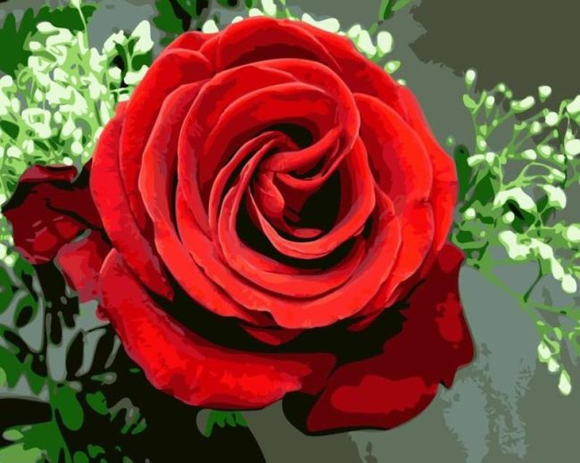 Romantic Red Rose Paint By Numbers