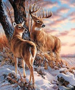 Deer Winter Scene Paint By Numbers