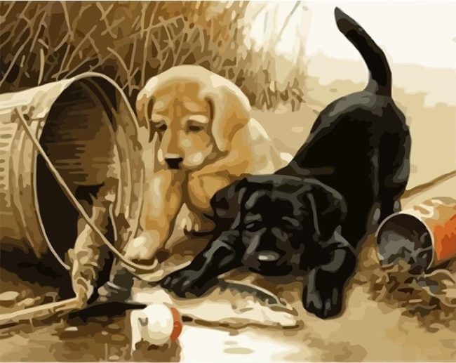 Black Dog Fishing Scene Paint By Numbers