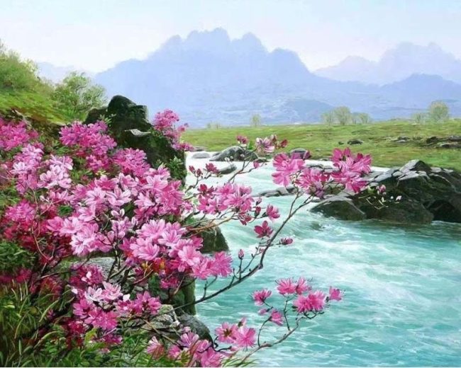 Flower River Scenery Paint By Numbers