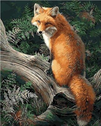 Fox Nature Aesthetic Paint By Numbers