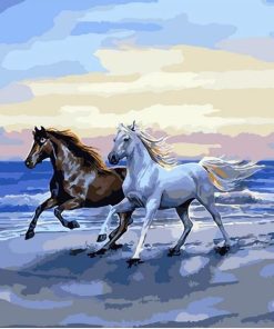 Arabian White Horses Paint By Numbers
