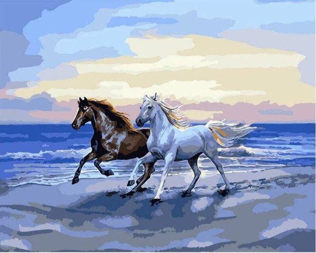 Arabian White Horses Paint By Numbers