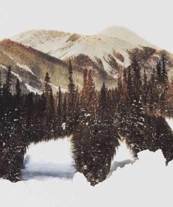 Brown Bear Picture Paint By Numbers