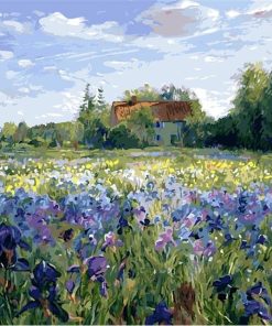 Aesthetic Fields of Flowers Paint By Numbers