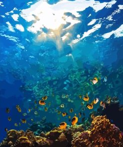 Sea Life Paint By Numbers