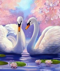 Swan Romance Paint By Numbers