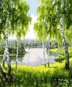 Birch Tree Forest Landscape Paint By Numbers