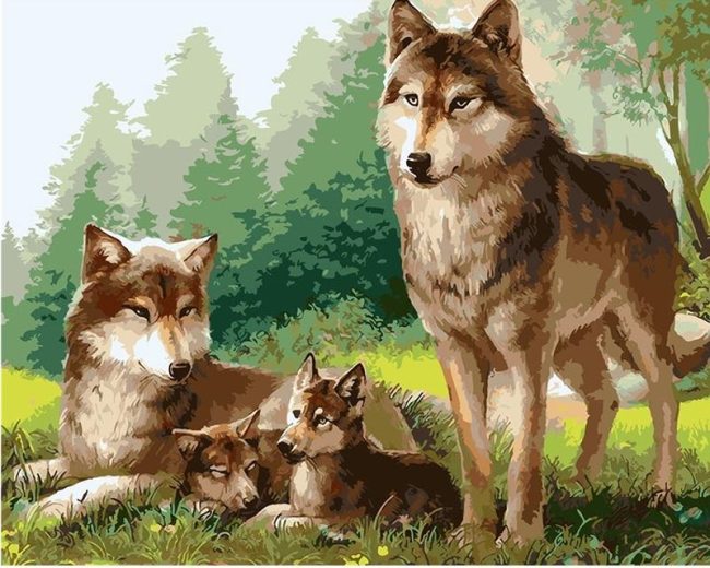 Wolf Family Animals Paint By Numbers