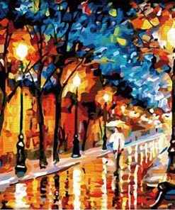 Vienna Rainy Night City Paint By Numbers