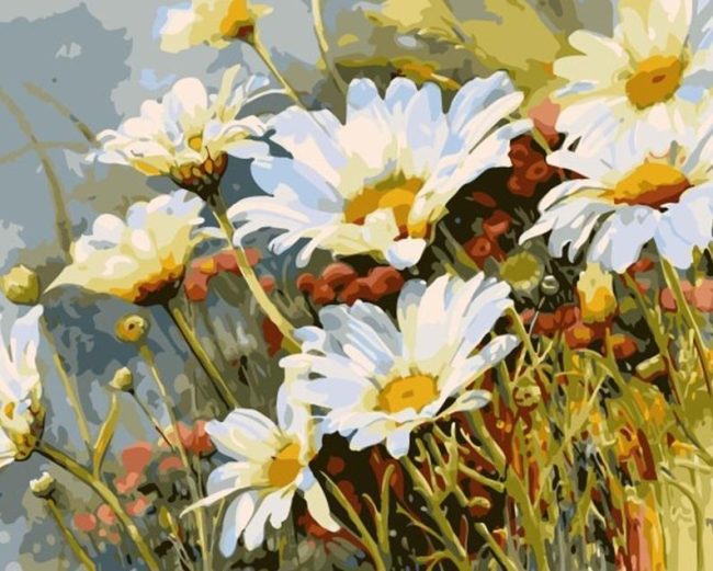 White Daisy Flower Paint By Numbers