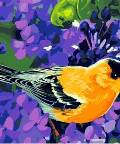 Colorful Songbirds Paint By Numbers
