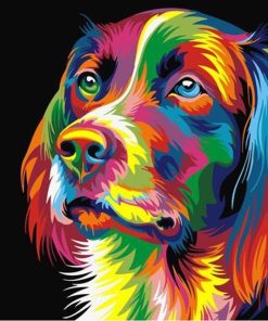 Rainbow Dogs Paint By Numbers