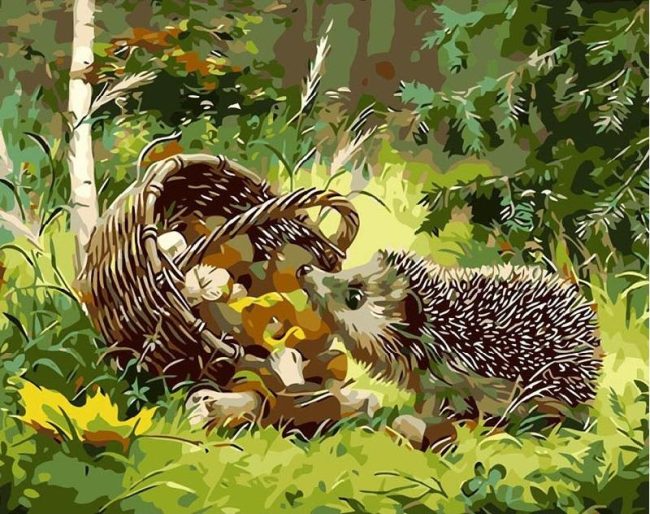 Hedgehog Animal DIY Paint By Numbers