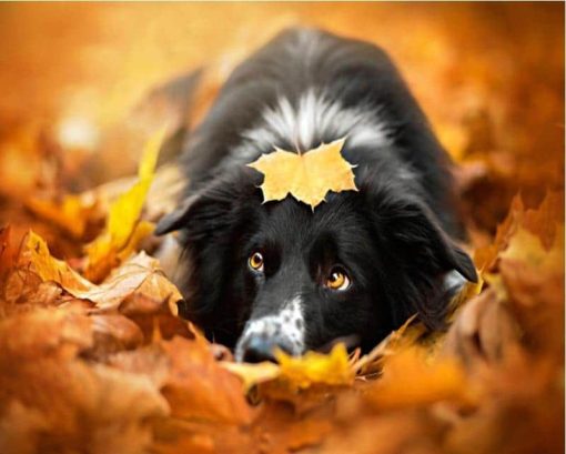 RUOPOTY-diy-frame-Maple-Leaves-Dog-DIY-Painting-By-Numbers-Animals-Calligraphy-Painting-Modern-Wall-Art