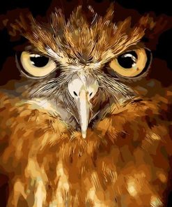 Owl Bird Paint By Numbers