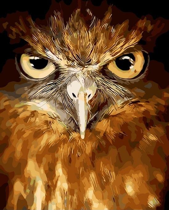 Finalizing the Owl Bird artwork