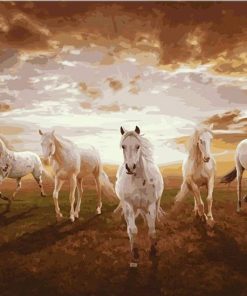 White Stallions at Sunset Paint By Numbers