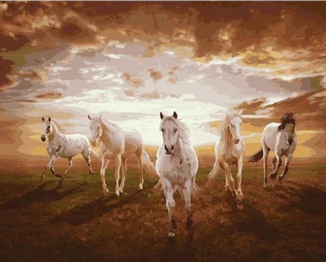 White Stallions at Sunset Paint By Numbers