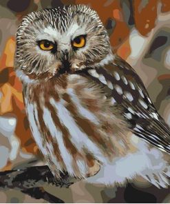 Owl Bird DIY Wall Paint By Numbers