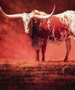 Red Cattle Animals Paint By Numbers