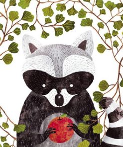 Raccoon Animal Paint By Numbers