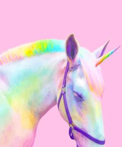 Rainbow Fantasy Horse Paint By Numbers