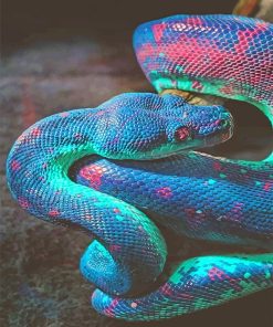 Colorful Snake Rainbow Viper Paint By Numbers