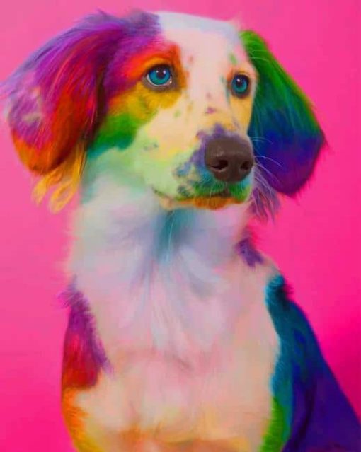 Rainbow-dog-paint-by-numbers