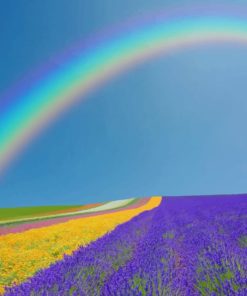 Rainbow Lavender Fields Paint By Numbers