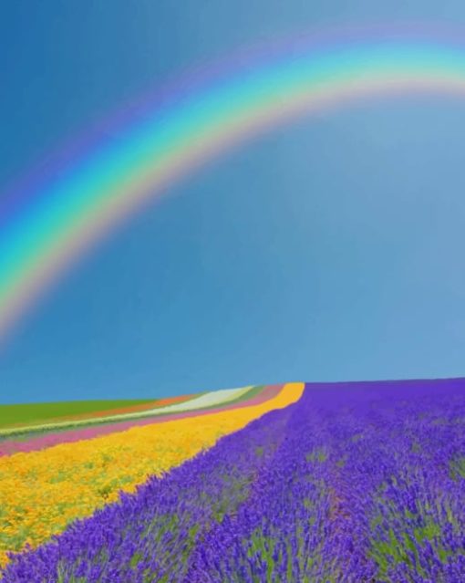 Rainbow-in-lavender-field-paint-by-numbers