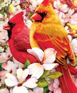 Red Cardinals Birds Paint By Numbers