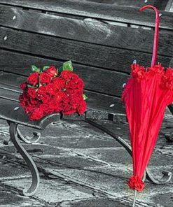 Red Umbrella Flower Art Paint By Numbers