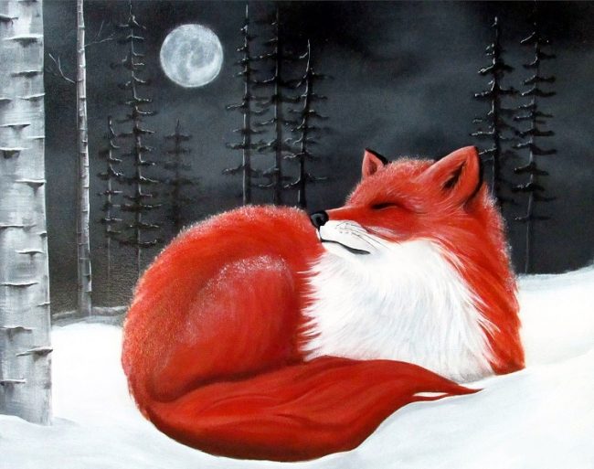 Red Fox Winter Scene Paint By Numbers