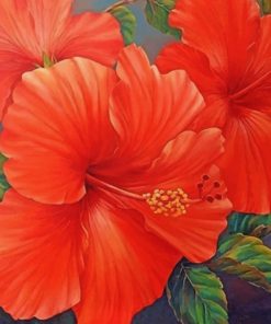 Red Hibiscus Flowers Paint By Numbers