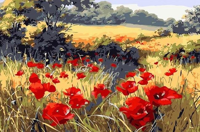 Red Poppy Landscape Paint By Numbers