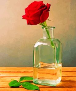 Red Rose Jar Paint By Numbers