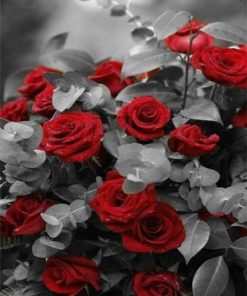 Red Roses and Grey Leaves Paint By Numbers