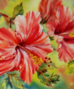 Red Hibiscus Paint By Numbers