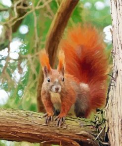 Red Squirrel on a Branch Paint By Numbers
