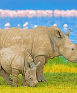 Rhinoceros African Animals Paint By Numbers