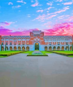 Houston Rice University Paint By Numbers