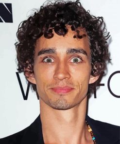 Robert Sheehan Irish Actor Paint By Numbers