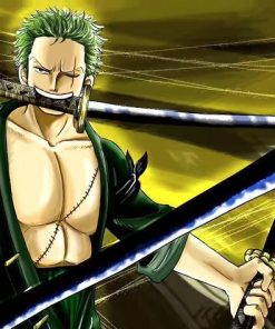 Roronoa Zoro Animation Paint By Numbers